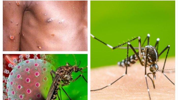 PAFI MAGETAN : Virus Mewabah di Dunia, Wisatawan Diharap Berhati-hati